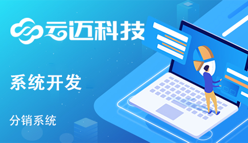 企業(yè)開發(fā)分銷系統(tǒng)有哪些運(yùn)營優(yōu)勢？